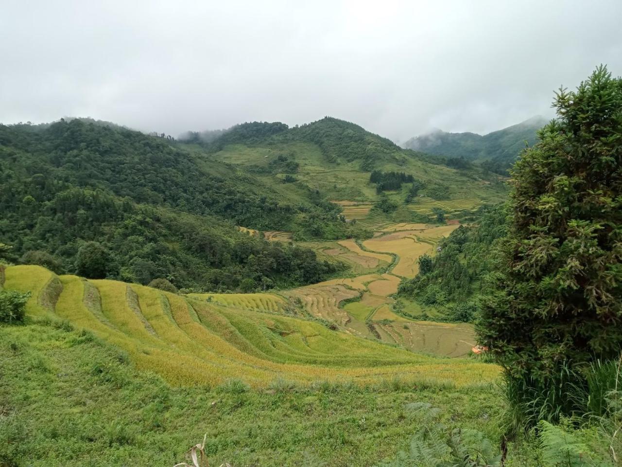 Bac Ha Charm Stay מראה חיצוני תמונה
