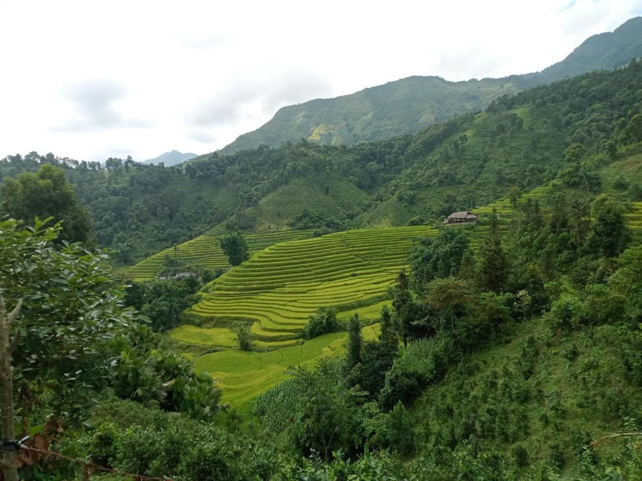 Bac Ha Charm Stay מראה חיצוני תמונה