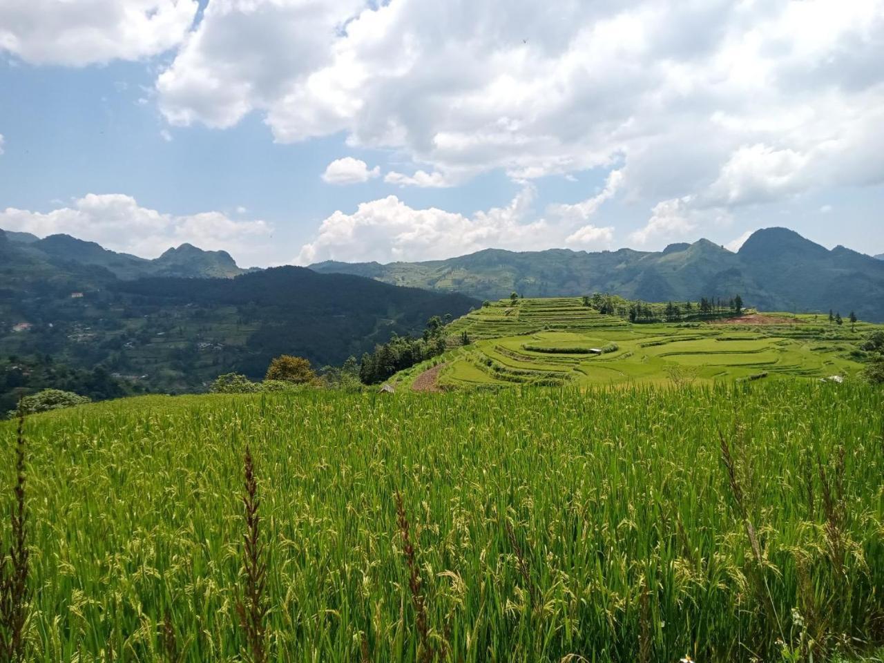 Bac Ha Charm Stay מראה חיצוני תמונה