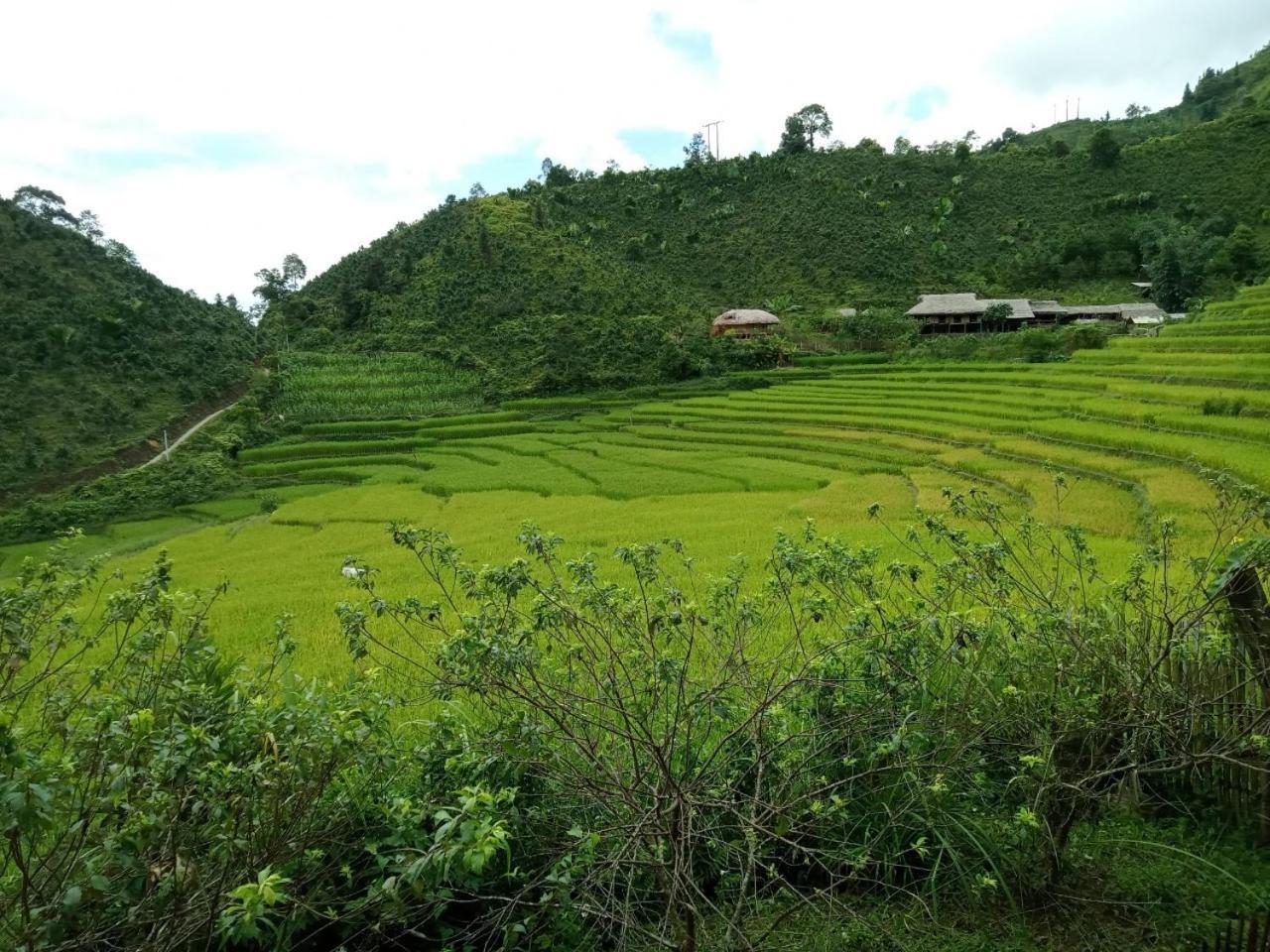 Bac Ha Charm Stay מראה חיצוני תמונה