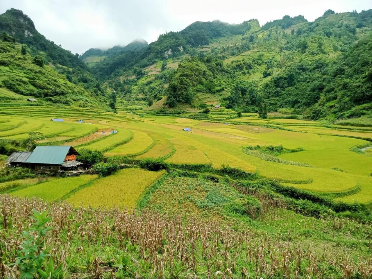 Bac Ha Charm Stay מראה חיצוני תמונה