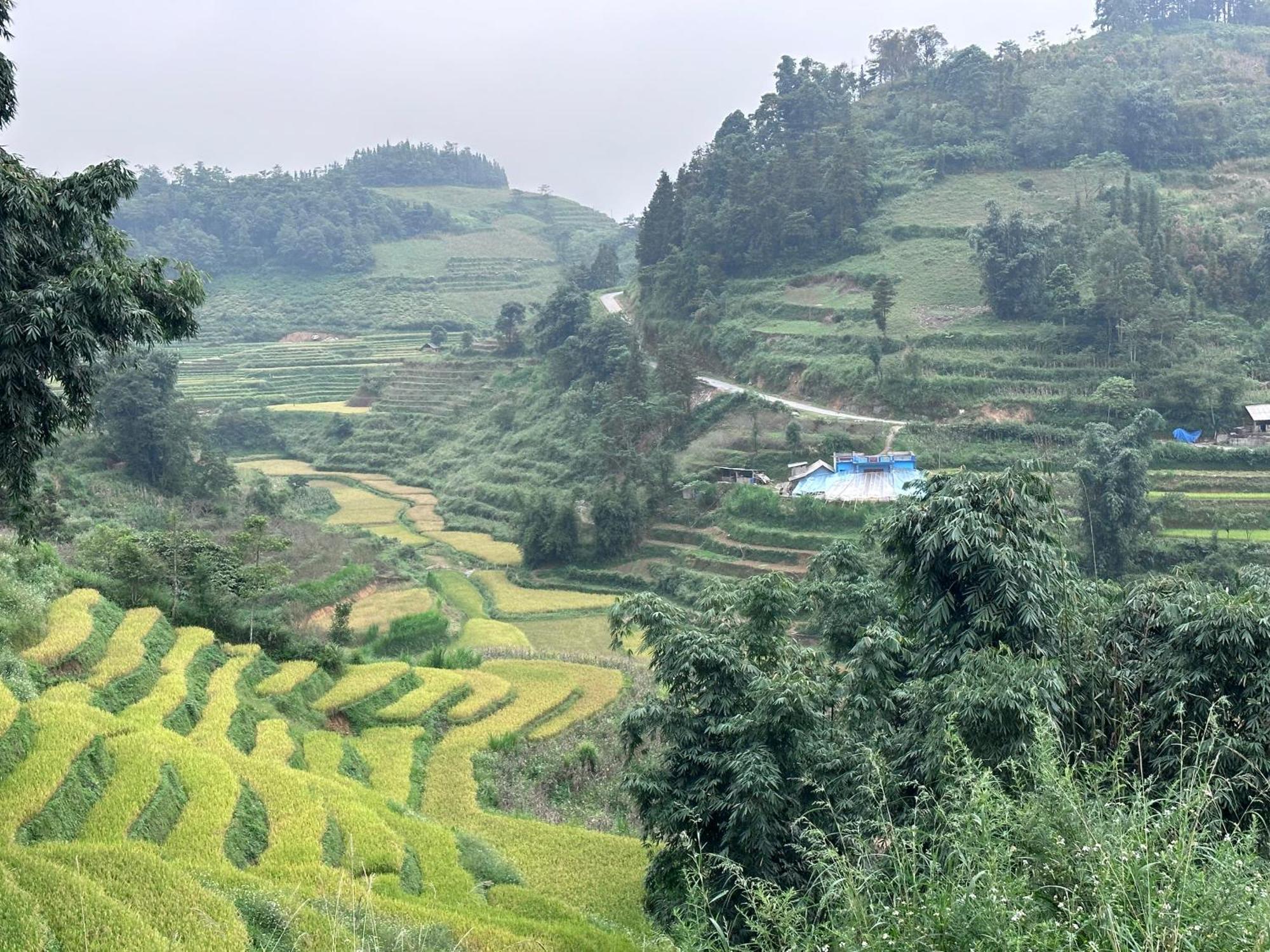 Bac Ha Charm Stay מראה חיצוני תמונה